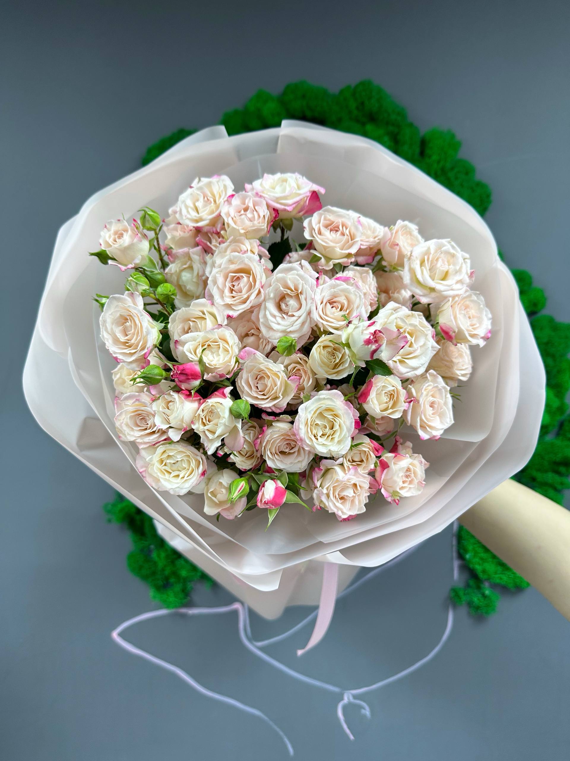 9 рефлекс