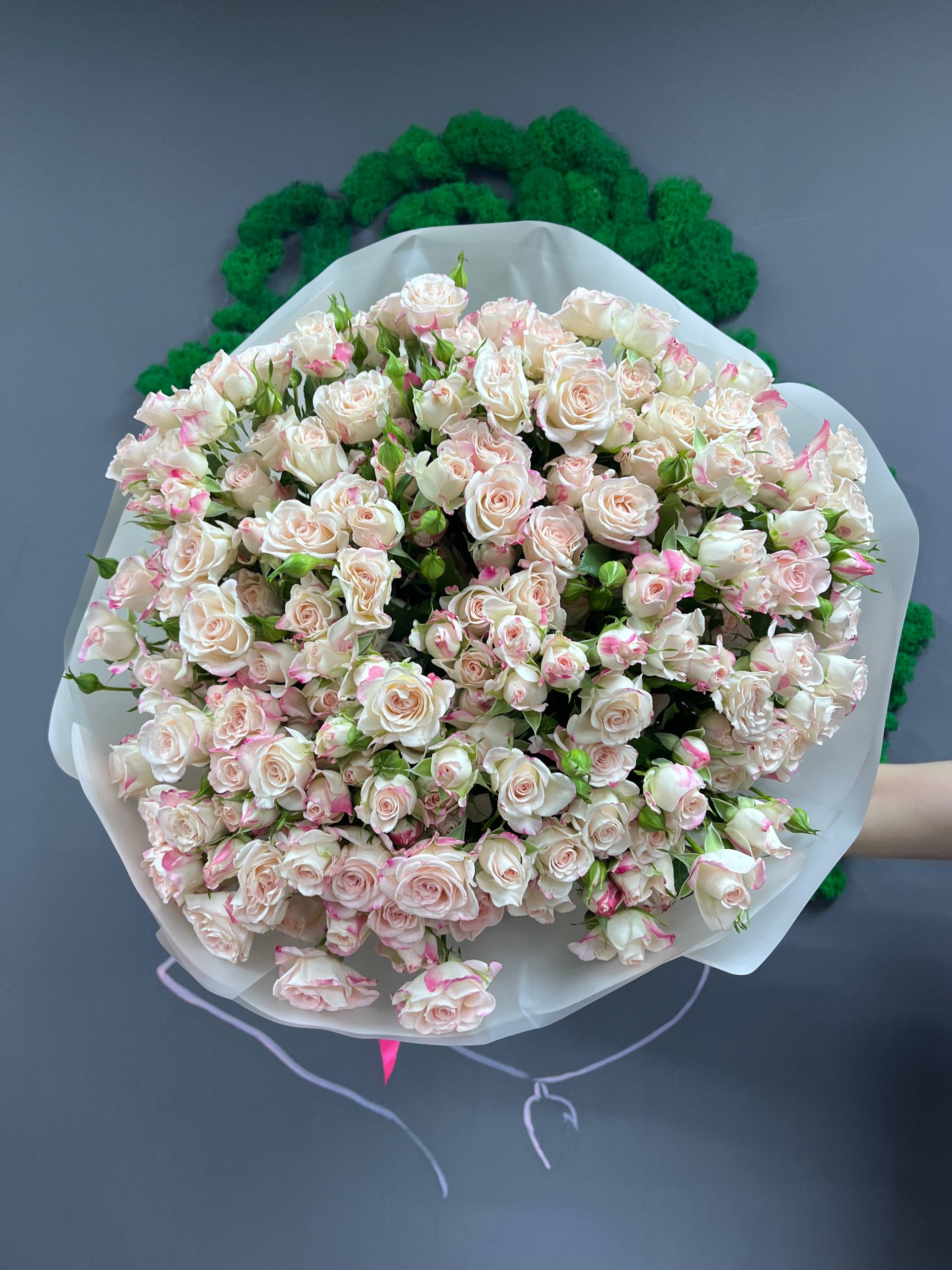 31 рефлекс